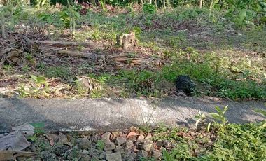 Tanah Dijual Timur Stadion cangkring Wates