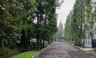 Rumah Baru Scandinavian Taman Belakang Luas Komplek Premium Di Antapani Bandung
