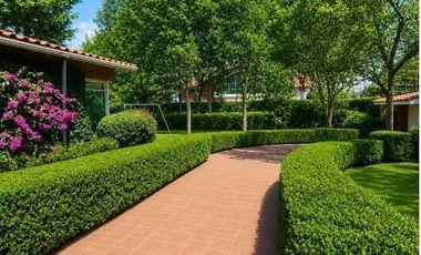 Casa amplia en renta en Lomas Hipódromo con departamento independiente