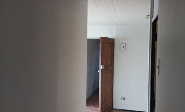 Abanderado Ibieta