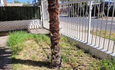 Se vende amplia casa, a 10 minutos caminando, Metro y Hospital Sotero del Rio