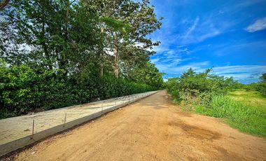 LOTE EN VENTA SECTOR KM 2 VIA CERETE  SAN PELAYO CERETE