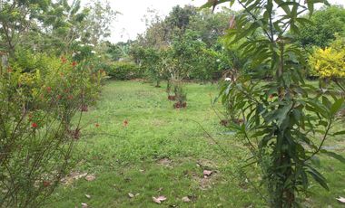LOTE ESQUINERO EN ROZO 487.76 METROS