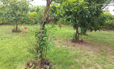 LOTE ESQUINERO EN ROZO 487.76 METROS