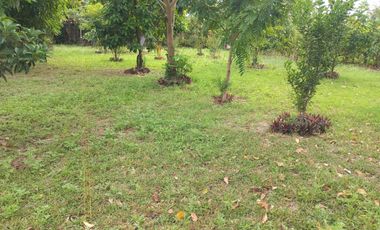 LOTE ESQUINERO EN ROZO 487.76 METROS