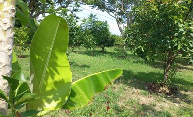 LOTE ESQUINERO EN ROZO 487.76 METROS