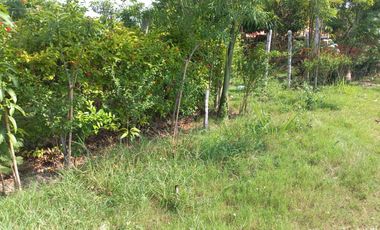 LOTE ESQUINERO EN ROZO 487.76 METROS