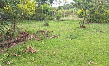 LOTE ESQUINERO EN ROZO 487.76 METROS