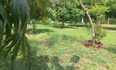 LOTE ESQUINERO EN ROZO 487.76 METROS