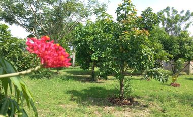 LOTE ESQUINERO EN ROZO 487.76 METROS
