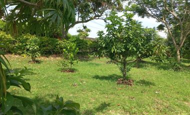 LOTE ESQUINERO EN ROZO 487.76 METROS