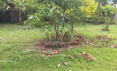 LOTE ESQUINERO EN ROZO 487.76 METROS