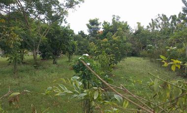 LOTE ESQUINERO EN ROZO 487.76 METROS