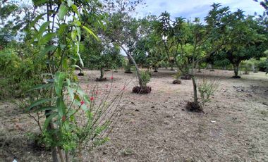 LOTE ESQUINERO EN ROZO 487.76 METROS
