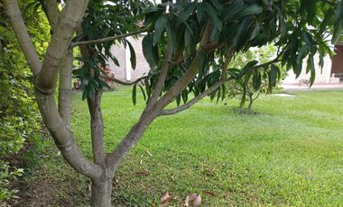 CASA CAMPESTRE EN ROZO