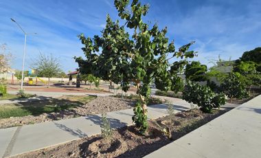Terreno en venta en Santa Barbara Torreon Coahuila