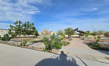 Terreno en venta en Santa Barbara Torreon Coahuila