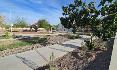 Terreno en venta en Santa Barbara Torreon Coahuila