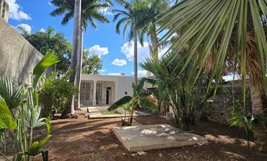 CASA COLONIAL MERIDA CENTRO PARA REMODELAR