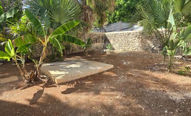 CASA COLONIAL MERIDA CENTRO PARA REMODELAR