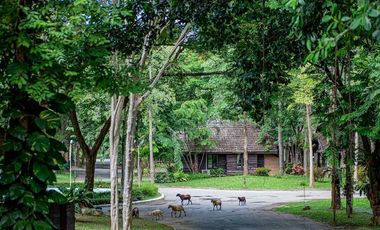🌿🏡 Riverside Holiday Home for Sale at The Legacy River Kwai, Kanchanaburi Your Private Nature Retreat Along the Beautiful Kwai Noi River