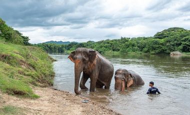 🌿🏡 Riverside Holiday Home for Sale at The Legacy River Kwai, Kanchanaburi Your Private Nature Retreat Along the Beautiful Kwai Noi River