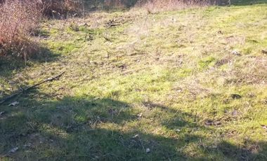 Venta de terreno con estero en sector Periquillo, Hualqui