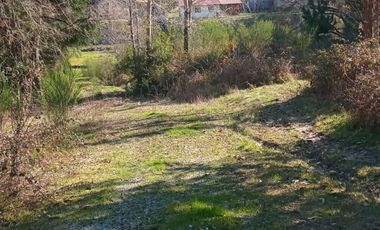 Venta de terreno con estero en sector Periquillo, Hualqui