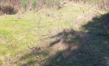 Venta de terreno con estero en sector Periquillo, Hualqui