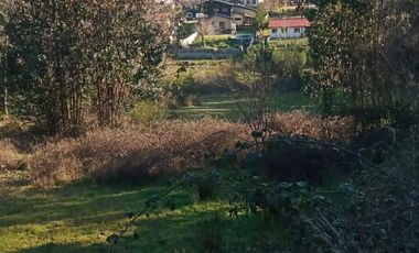 Venta de terreno con estero en sector Periquillo, Hualqui