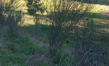 Venta de terreno con estero en sector Periquillo, Hualqui