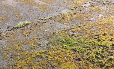 Venta de terreno con estero en sector Periquillo, Hualqui