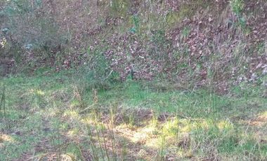 Venta de terreno con estero en sector Periquillo, Hualqui