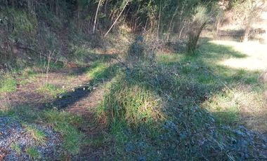 Venta de terreno con estero en sector Periquillo, Hualqui