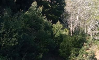 Venta de terreno con estero en sector Periquillo, Hualqui