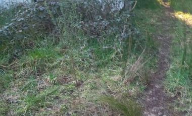 Venta de terreno con estero en sector Periquillo, Hualqui