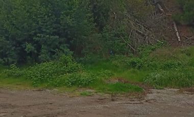 Venta de terreno con estero en sector Periquillo, Hualqui