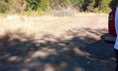 Venta de terreno camino al Huape, sector mirador Huechupin.