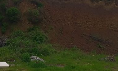Venta de parcela a la orilla de camino de Quilacoya