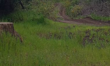 Venta de parcela a la orilla de camino de Quilacoya