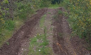 Venta de parcela a la orilla de camino de Quilacoya