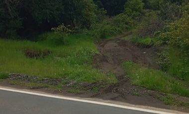 Venta de parcela a la orilla de camino de Quilacoya