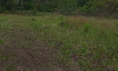 Venta de parcela a la orilla de camino de Quilacoya