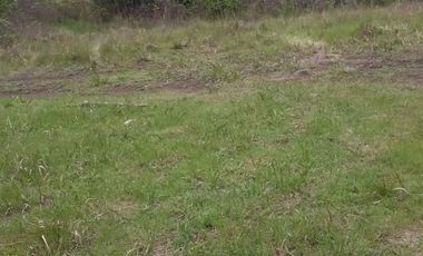 Venta de parcela a la orilla de camino de Quilacoya