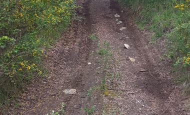 Venta de parcela a la orilla de camino de Quilacoya