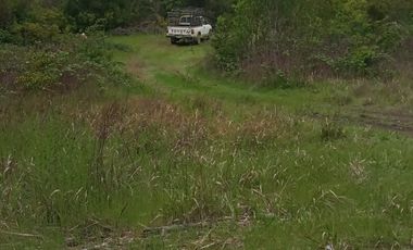 Venta de parcela a la orilla de camino de Quilacoya
