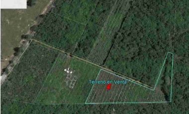 VENTA 6757M² EN MÉRIDA NORTE, RODEADA DE ÁRBOLES
