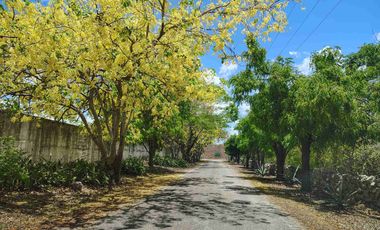 VENTA 6757M² EN MÉRIDA NORTE, RODEADA DE ÁRBOLES