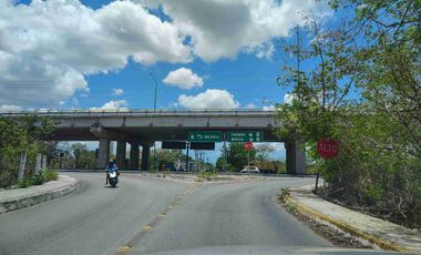 VENTA 6757M² EN MÉRIDA NORTE, RODEADA DE ÁRBOLES