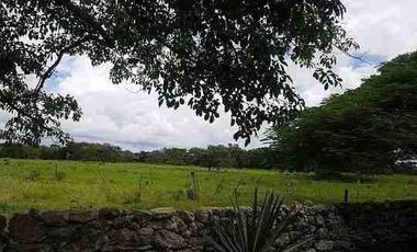 VENTA 6757M² EN MÉRIDA NORTE, RODEADA DE ÁRBOLES